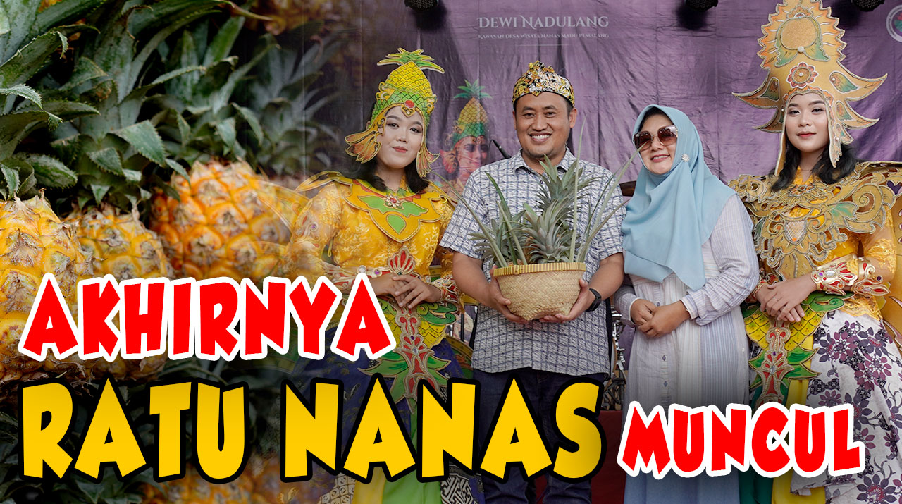 FESTIVAL-NANAS-PML